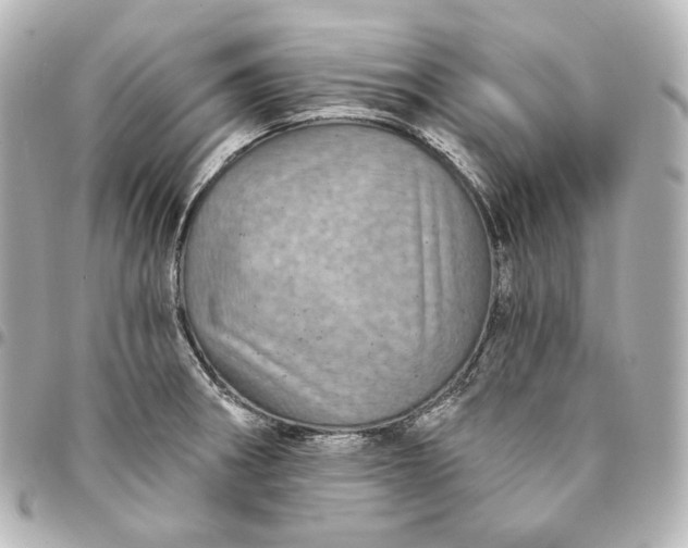 X0000095531282200712281514