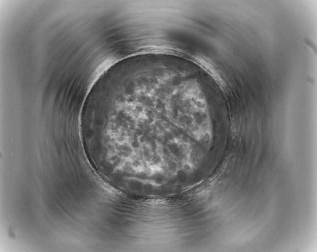 X0000095531283200712281514