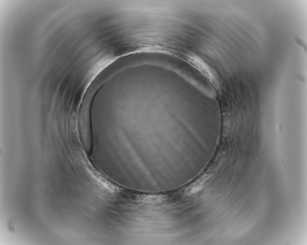X0000095531284200712281514