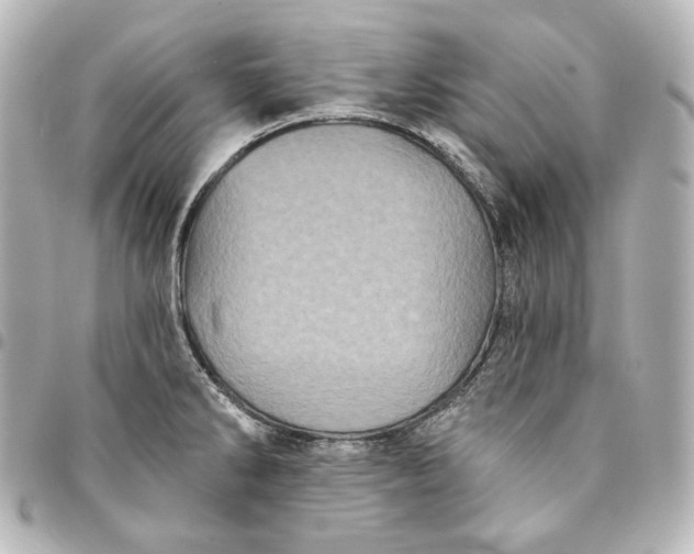 X0000095531286200712281514