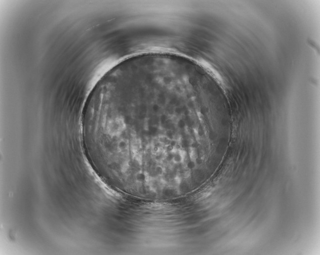 X0000095531287200712281514