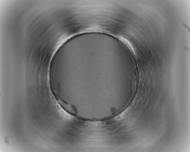 X0000095531288200712281514