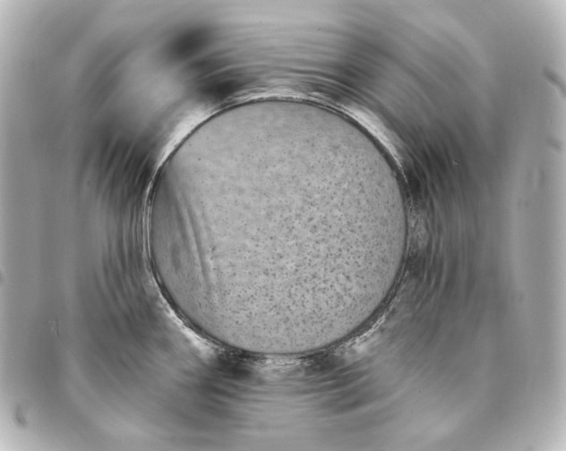 X0000095531290200712281514