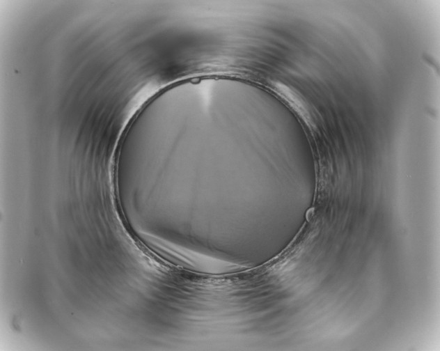 X0000095531291200712281514