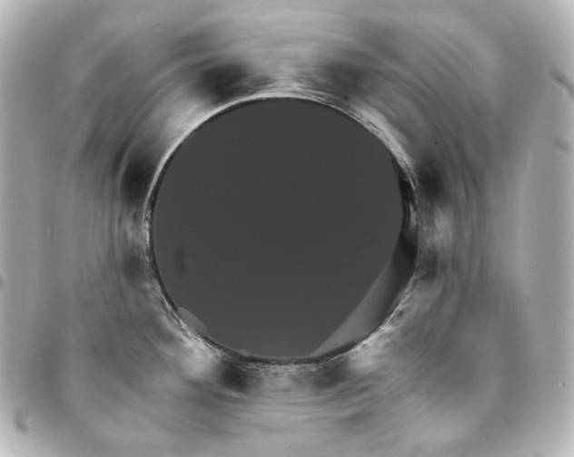 X0000095531292200712281514