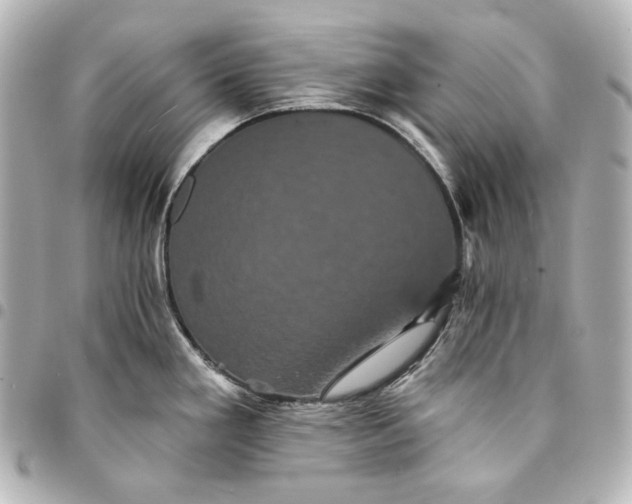 X0000095531293200712281514