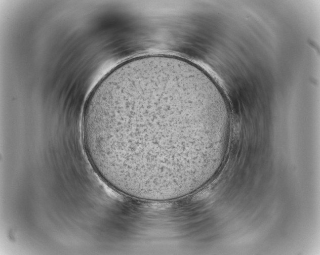 X0000095531294200712281514