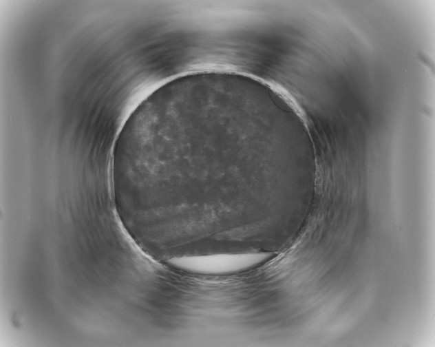 X0000095531295200712281514