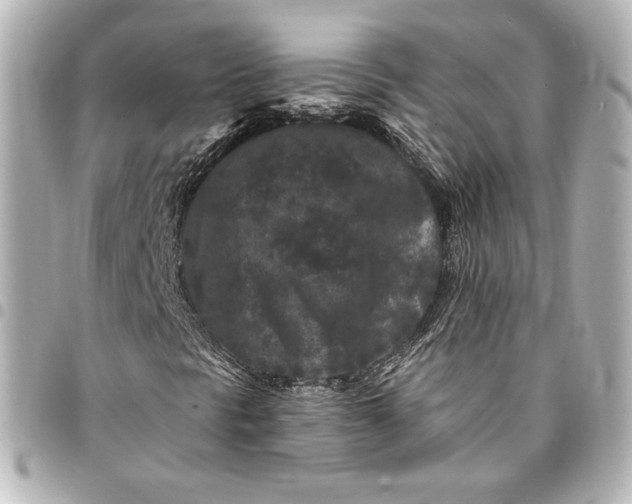 X0000095531297200712281513