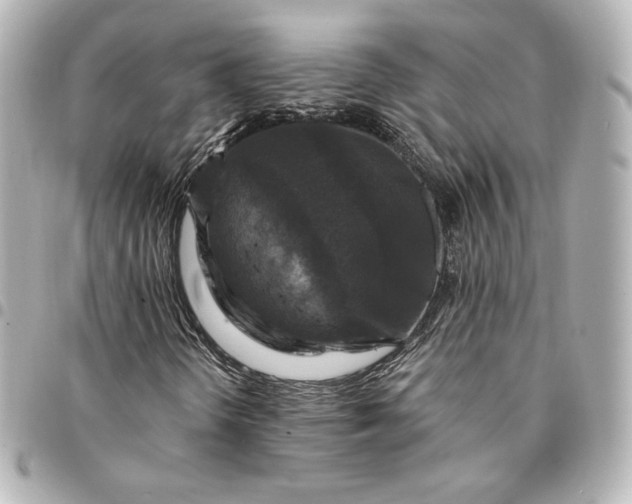 X0000095531298200712281513