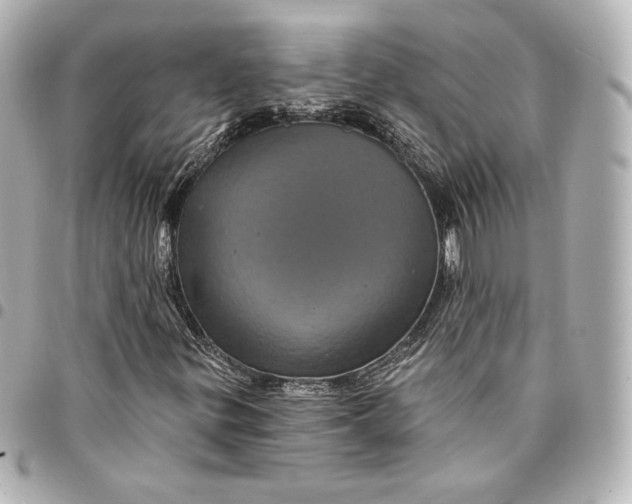X0000095531299200712281513