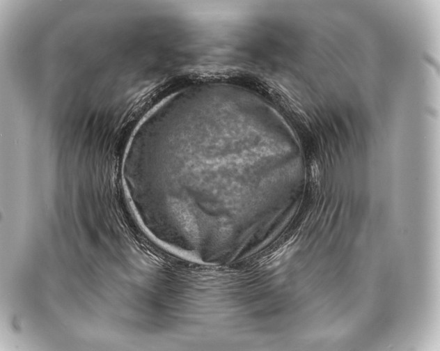 X0000095531300200712281513