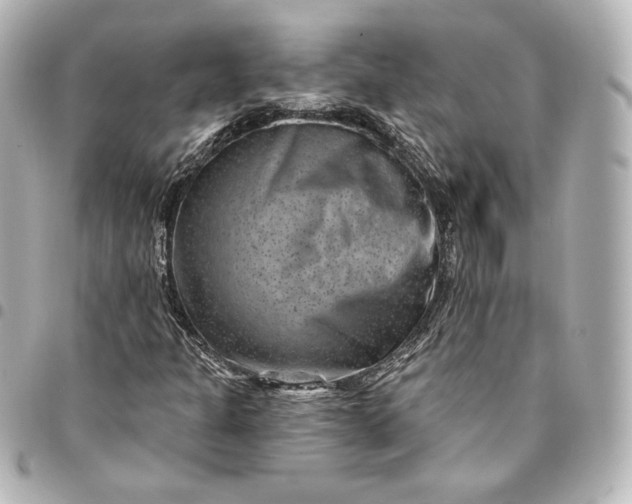 X0000095531301200712281513