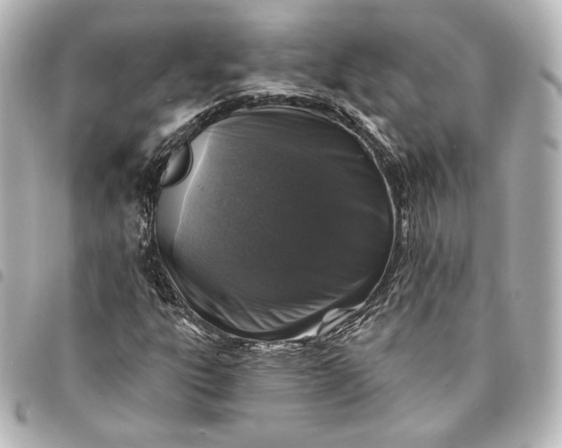 X0000095531303200712281513