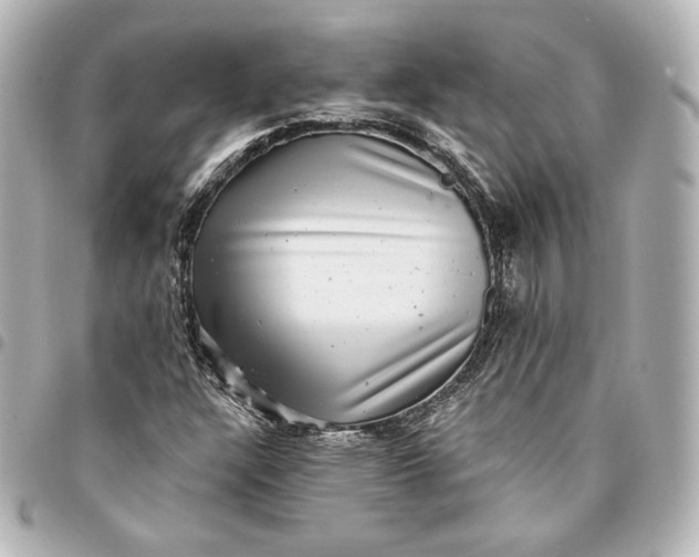 X0000095531304200712281513