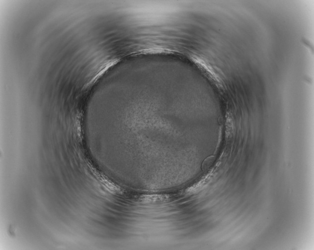 X0000095531305200712281513