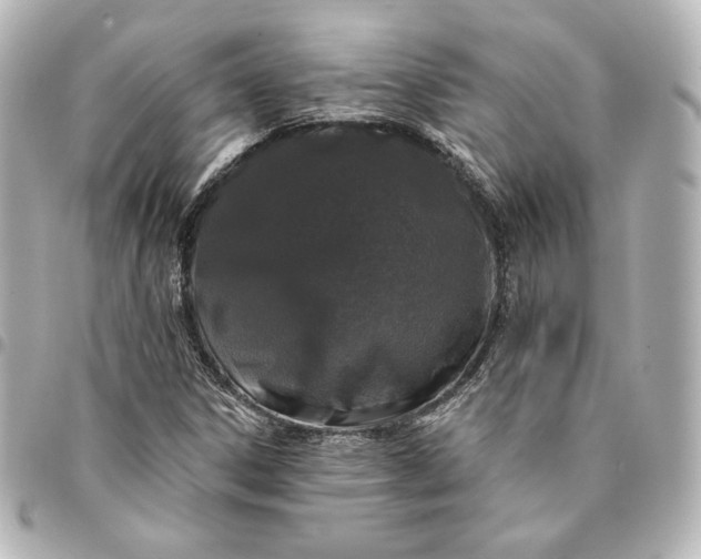 X0000095531306200712281513