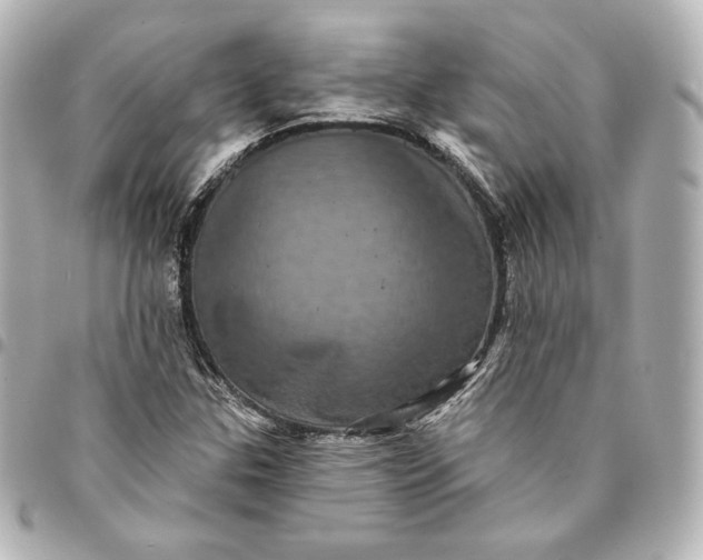 X0000095531307200712281513
