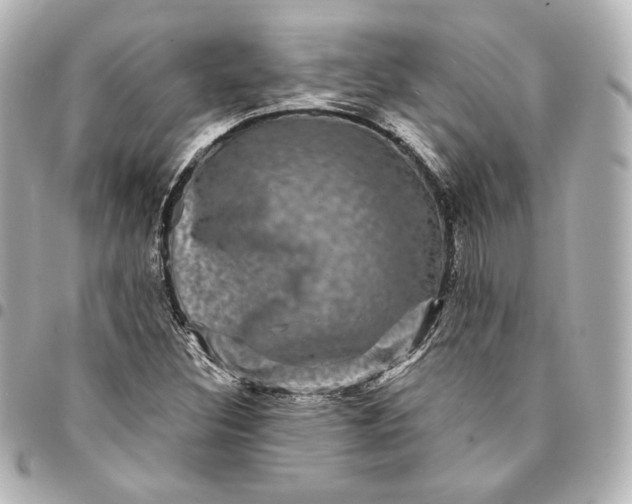 X0000095531308200712281513