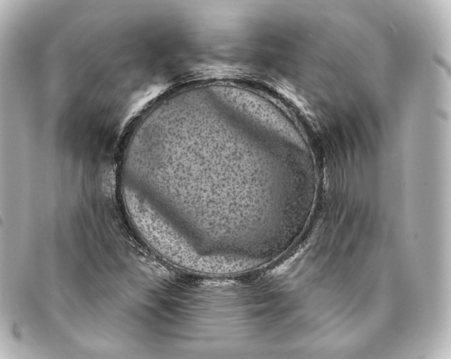 X0000095531309200712281513