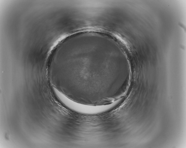 X0000095531310200712281513