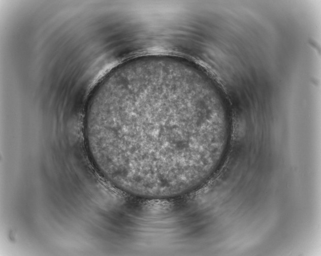 X0000095531314200712281513