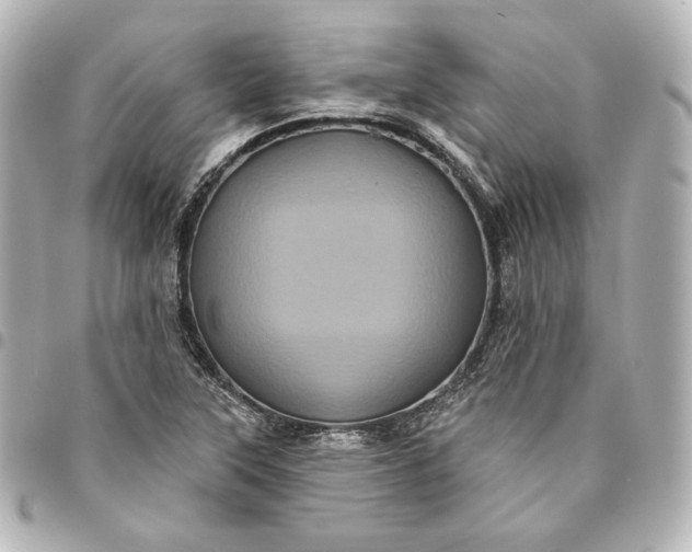 X0000095531315200712281513