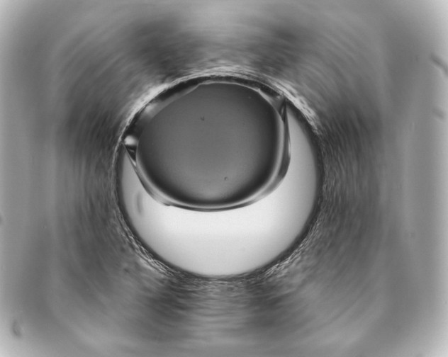 X0000095531316200712281513