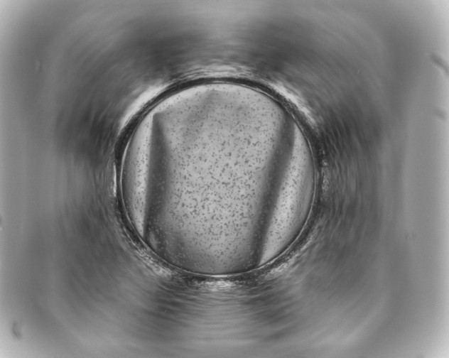 X0000095531317200712281513