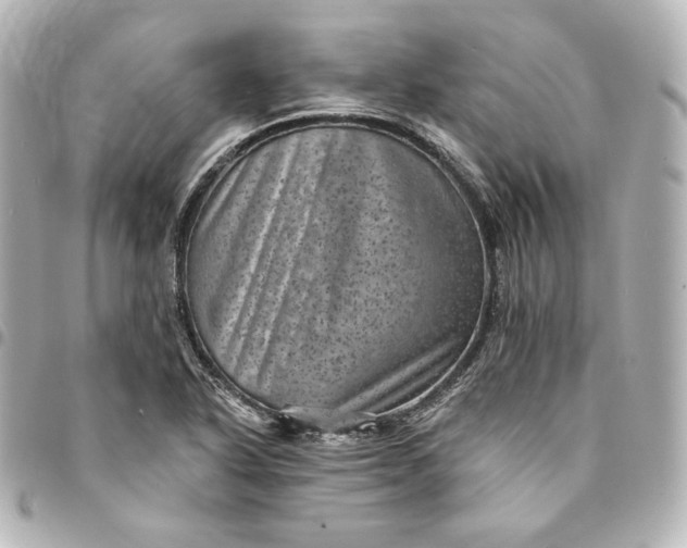 X0000095531318200712281513