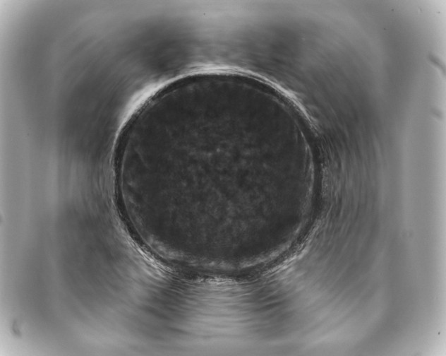 X0000095531319200712281514