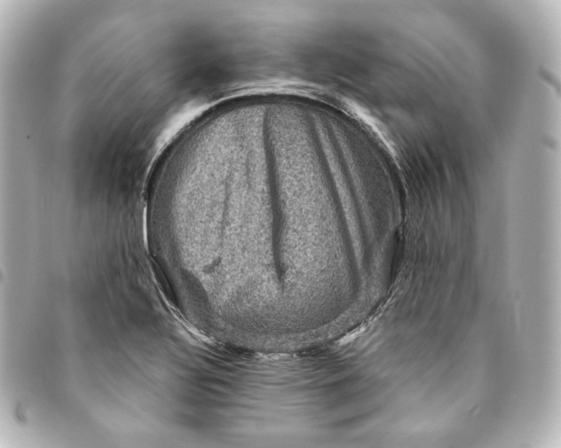 X0000095531320200712281514