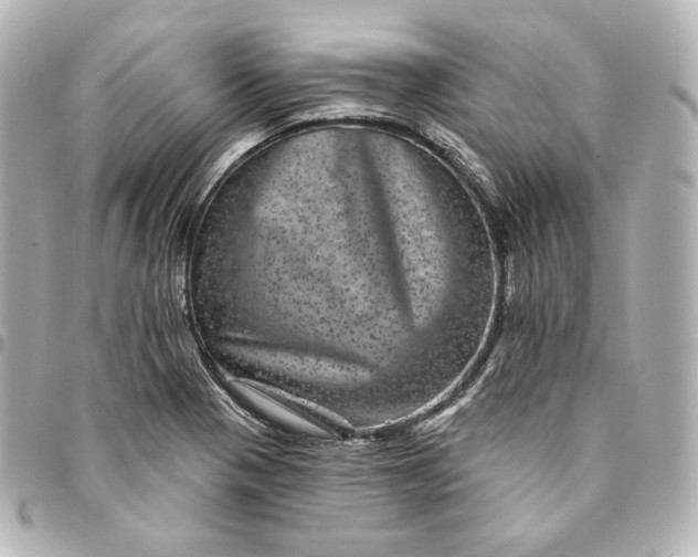 X0000095531321200712281514