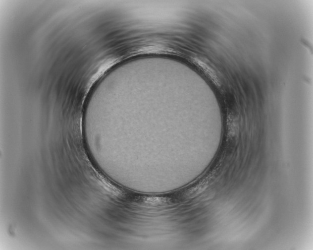 X0000095531322200712281514