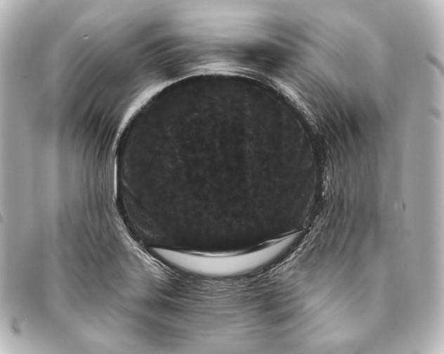 X0000095531323200712281514