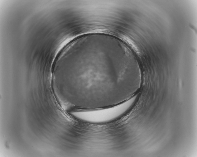 X0000095531324200712281514