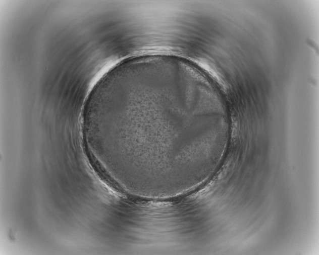 X0000095531325200712281514