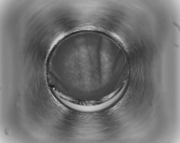 X0000095531326200712281514