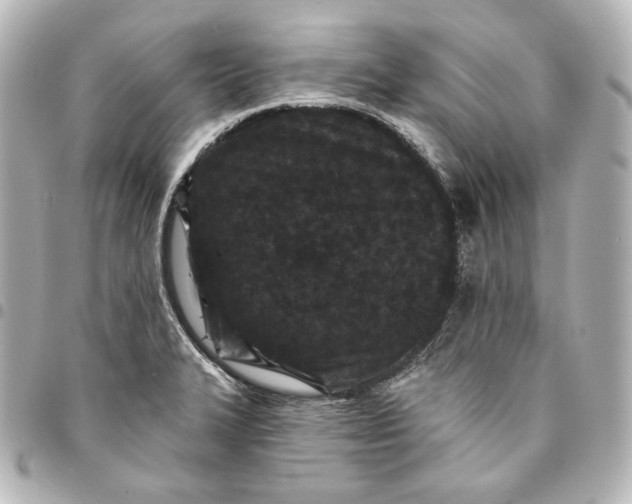 X0000095531327200712281514