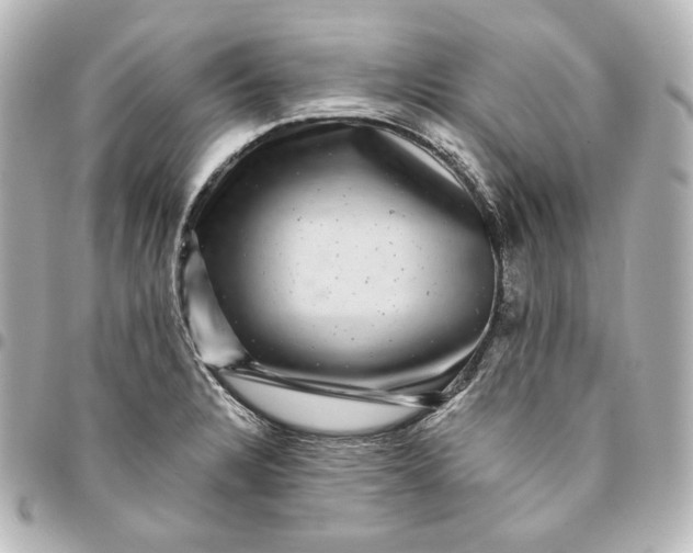 X0000095531328200712281514