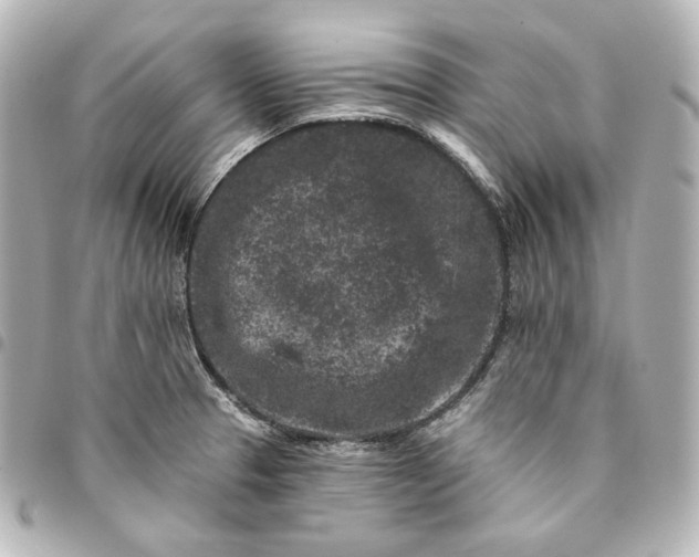 X0000095531329200712281514