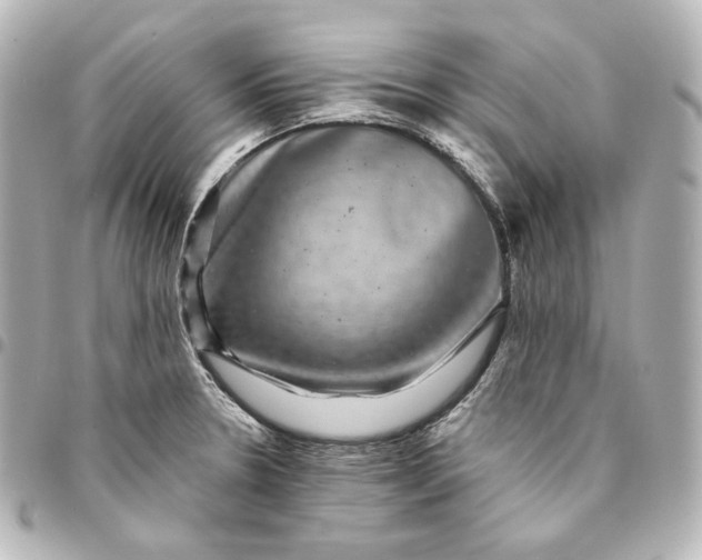 X0000095531330200712281514