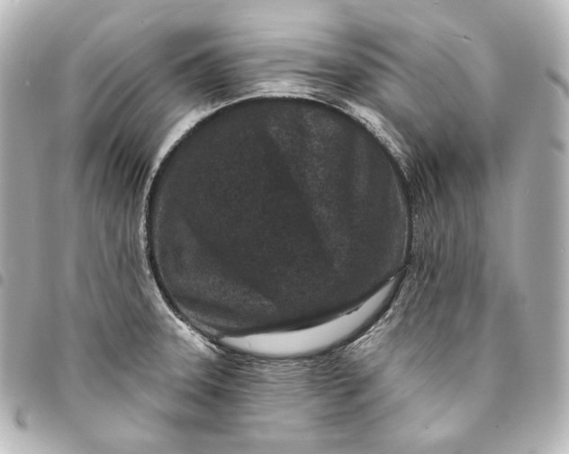 X0000095531331200712281514