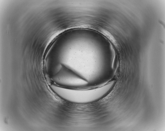 X0000095531332200712281514