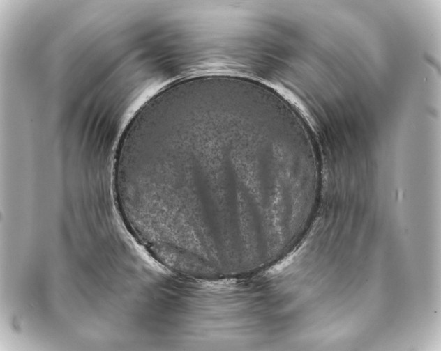 X0000095531333200712281514