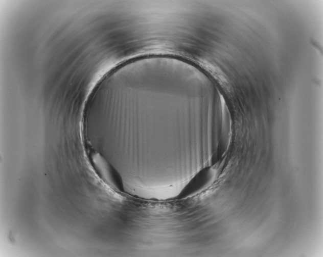 X0000095531334200712281514