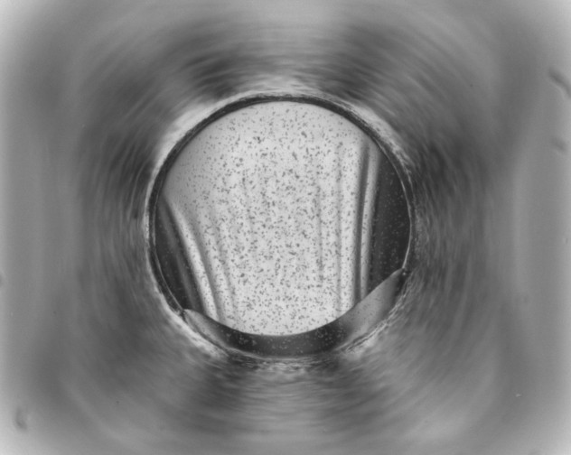 X0000095531335200712281514