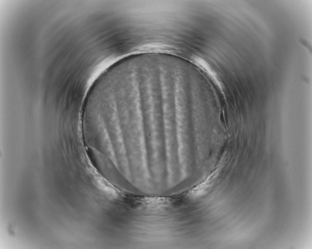 X0000095531336200712281514