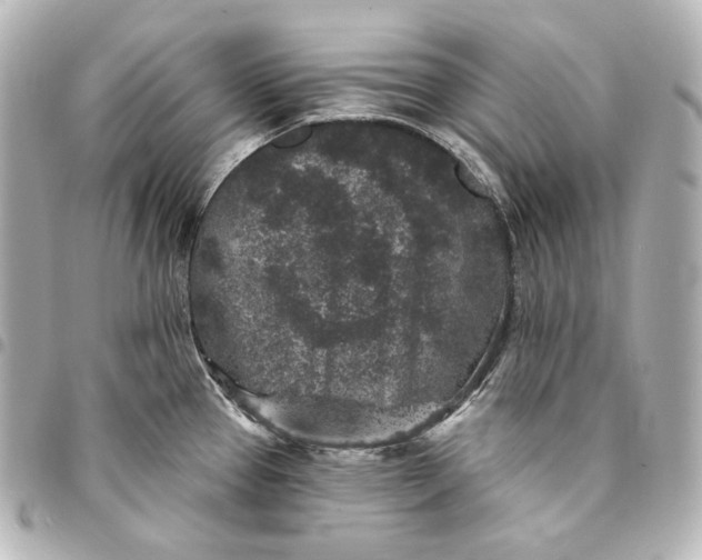 X0000095531337200712281514