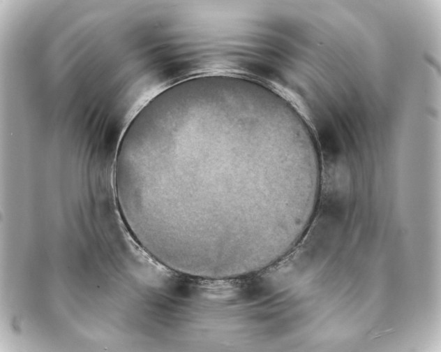 X0000095531338200712281514